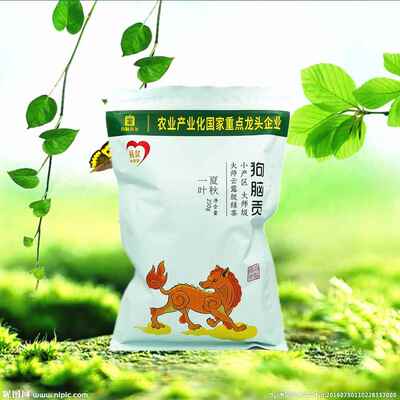 湖南郴州特产狗脑贡绿茶袋装茶叶美味新茶资兴狗脑贡茶夏秋一叶级
