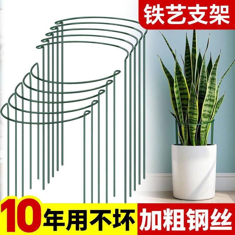 花架支撑杆防倒伏爬藤支架固定植物支撑架花架子龟背竹金钱树护花图片