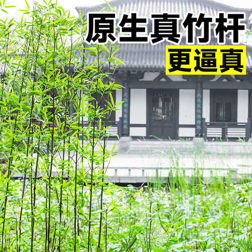 植室外仿生酒店隔断摆件室内绿仿真加密屏风围栏庭院竹子装饰造景