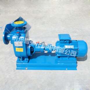 40ZW型750W耐腐蚀不锈钢卧式 无堵塞污水泵自吸排污泵 不阻塞自吸式