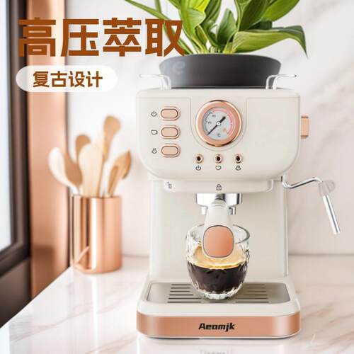 跨境20Bar家用半自动一体复古式浓缩高压萃取打奶泡压力式咖啡机