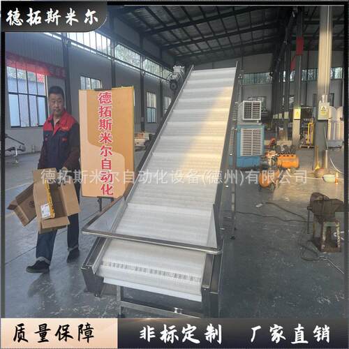 冷链行业网带输送机冷冻生鲜肉类传送带耐低温防冻非标输送设备