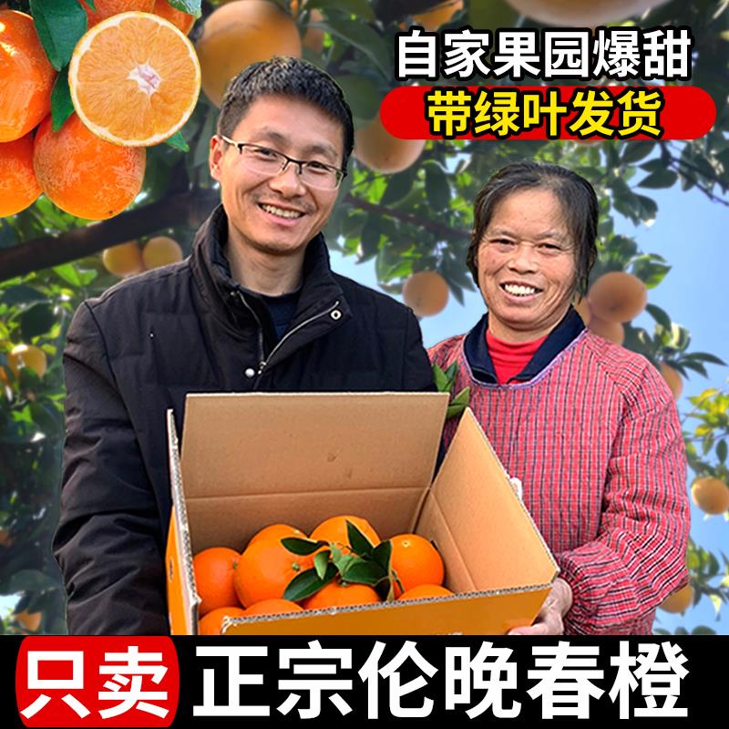 正宗秭归伦晚脐橙当季新鲜水果皮薄多汁9斤包邮手剥冰糖甜橙子