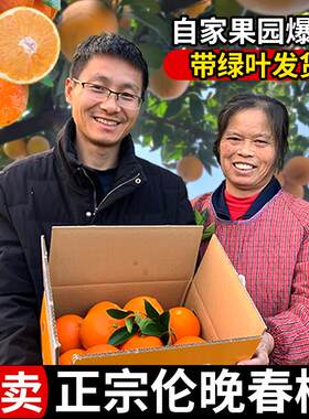 正宗秭归伦晚脐橙当季新鲜水果皮薄多汁9斤包邮手剥冰糖甜橙子