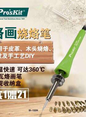 宝工电烙铁25W烙画烧烙笔烫花器木工雕花21件组工具SI-132H