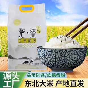 大米产地直产稻香新米黑龙江中科发五厂家原产东北两斤实用装优质