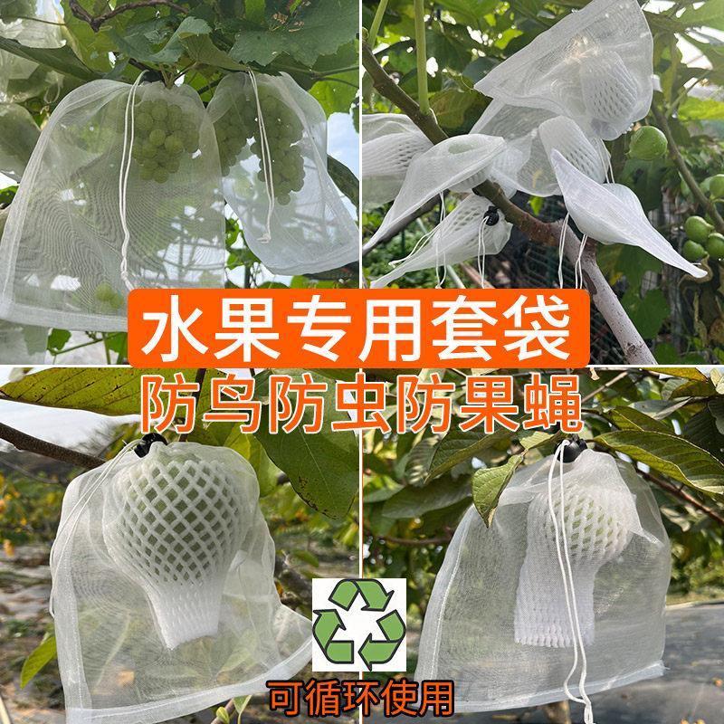 水果套袋防果蝇防鸟防虫桃子专用番石榴释迦果无花果芭乐草莓网袋