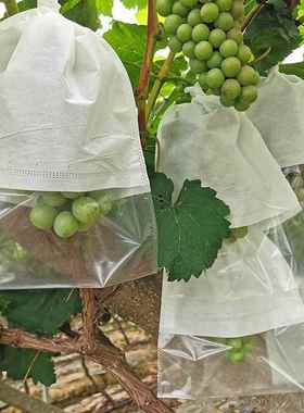 葡萄套袋玫瑰袋防雨防虫气防鸟透水降果袋子可解81618透环保气可