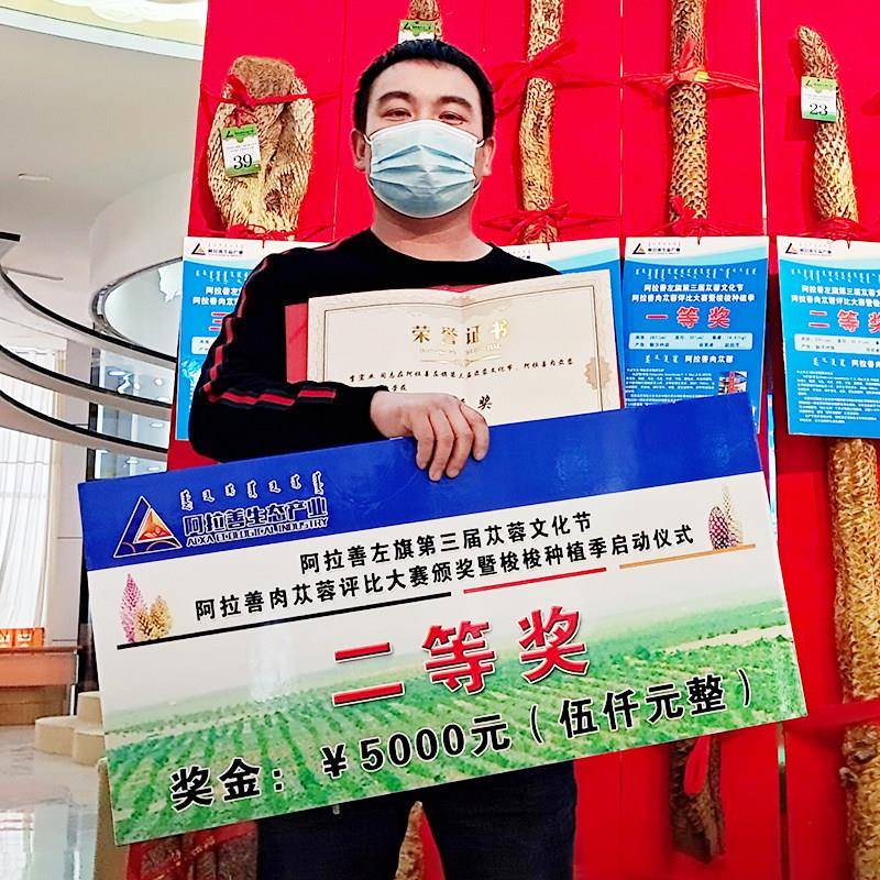 阿拉善肉苁蓉整根正品内蒙古正宗沙漠软性油苁蓉送淫羊藿中药材料