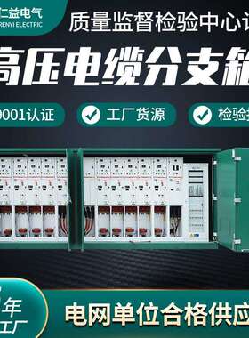 高压电缆分支箱DFW-12环网柜户外气体绝缘柜SF6开闭所生产厂家