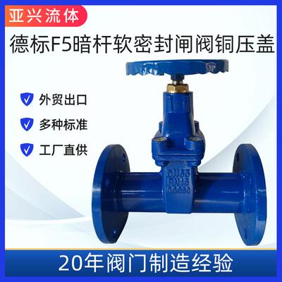 DIN3352弹性座封阀F5软密封闸阀橡胶软密封阀门球墨铸铁