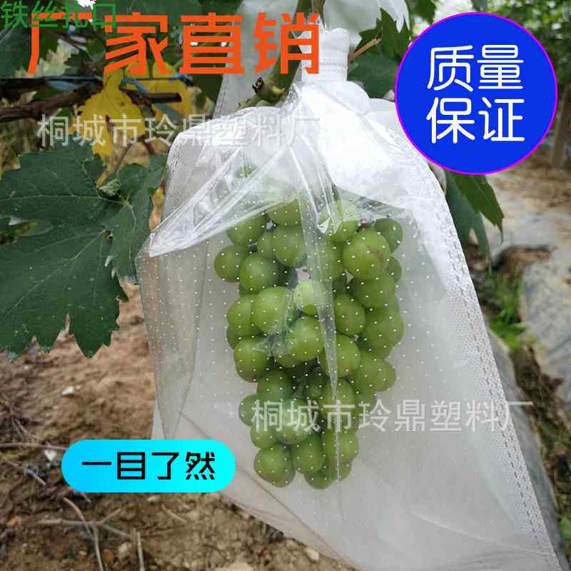露布天KCS半无纺半透明膜水套袋防虫防果葡萄鸟套袋加印logo