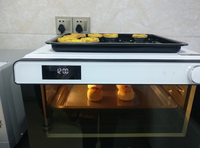 震撼!大宇蒸烤箱怎么样?用了大半年感受诉说