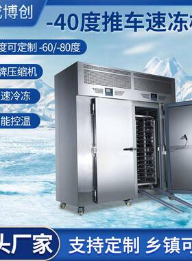 商用推车式速冻柜大容量冰箱速冻插盘冰柜风冷低温急冻冰柜速冻机