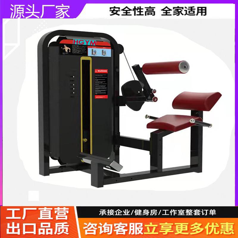 腰部后压训练器材健身房家用商用肌肉力量器械健身健身潮流