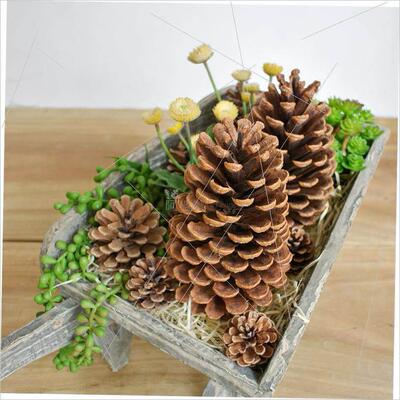 Christmas pine cone window display DIYdried flower materials