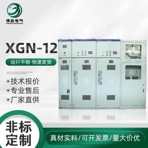高压环网柜XGN-1210KV进出线柜开关柜成套设备箱式户外