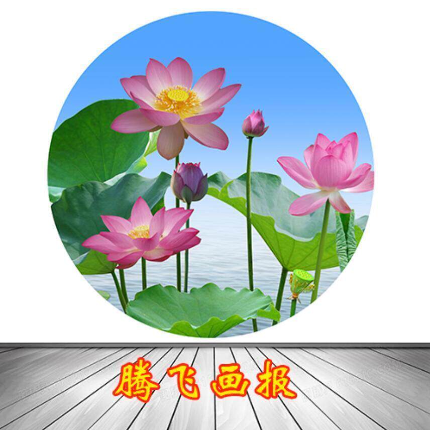 莲花图片镇宅画旺宅客厅卧室荷花图案厕所海报画佛堂背景壁画贴画