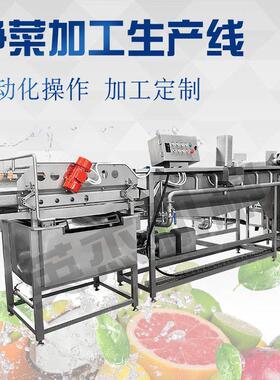 涡流清洗机 果蔬气泡清洗机 叶菜香菜菠菜全自动清洗设备