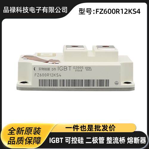 DDB6U180N16RR_B11 DDB6U180N16RR DDB6U75N16W1R原厂功率 二极管