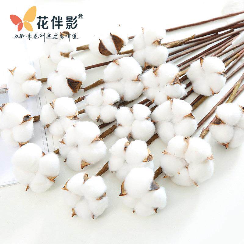 装饰天然棉花头壳干花春节挂件大号手工铁丝杆花束材料花盒配件