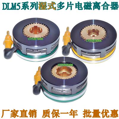 电磁离合器DLM5-1.2AC2.5AC10AC16A25AC40A63A100A湿式多片DC24V