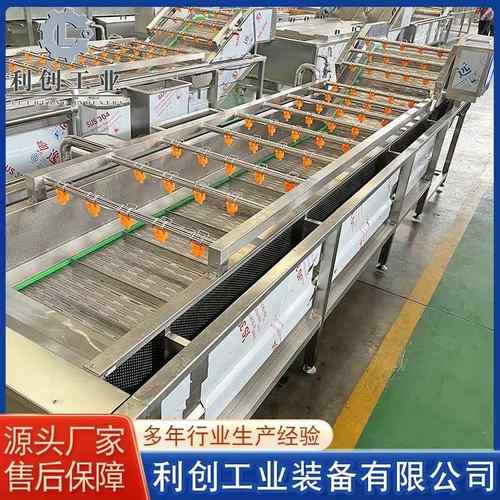 多功能蔬菜清洗机厂家玉米气泡清洗设备喷淋干枣蔬菜清洗机