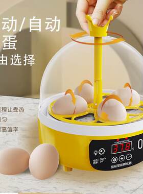 新款直销外贸全自动孵化器家用小型孵蛋器孵鸡蛋神器智能小鸡孵化