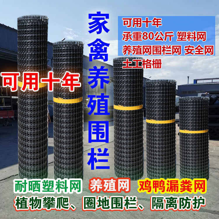 养鸡养鸭围栏网塑料网产地直供拦鸡网土工格栅网防护隔离网网格网,五金/工具,护栏/隔离栏,淘宝优惠券,粉丝福利购,淘宝优惠卷