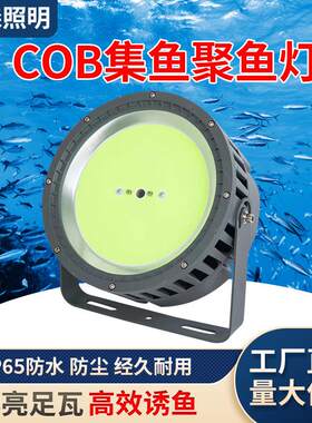 led集鱼灯钓鱼灯1000W1200W大功率渔船用捕鱼诱鱼灯探照灯强光
