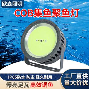 led集鱼灯钓鱼灯1000W1200W大功率渔船用捕鱼诱鱼灯探照灯强光