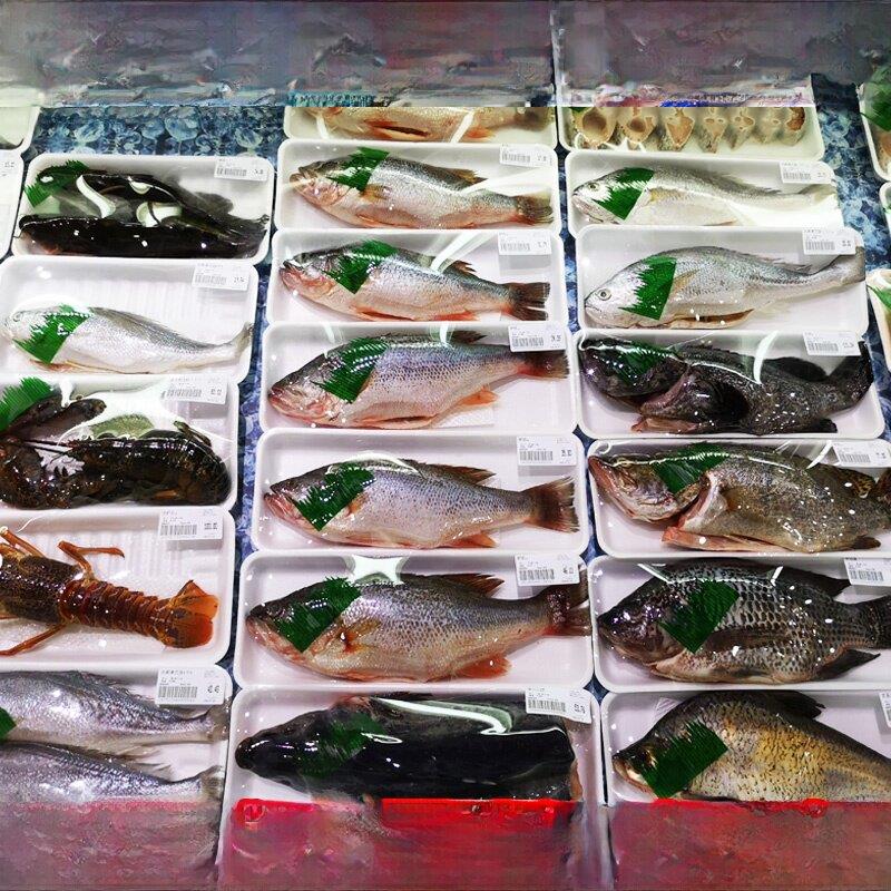 一次性多用途鲜鱼包装盒超市3313鱼盘海鲜鱼盒水产水果托盘