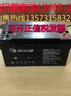 RIMA瑞玛蓄电池UN100-12铅酸免维护12V100AH 太阳能 基站 通信
