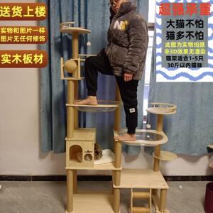 猫爬架小户型不占地豪华大型通天柱太空舱猫窝一体封闭式大猫专用