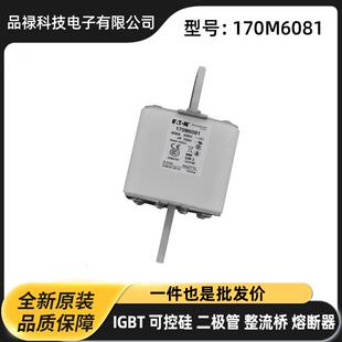 快速熔断器保险丝原厂现货插片式 170M6170 170M6148 170M6081