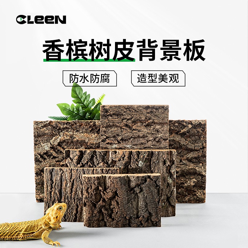 其鳞爬宠造景背景板天然香槟树皮守宫蜥蜴饲养箱专用生态龟缸造景