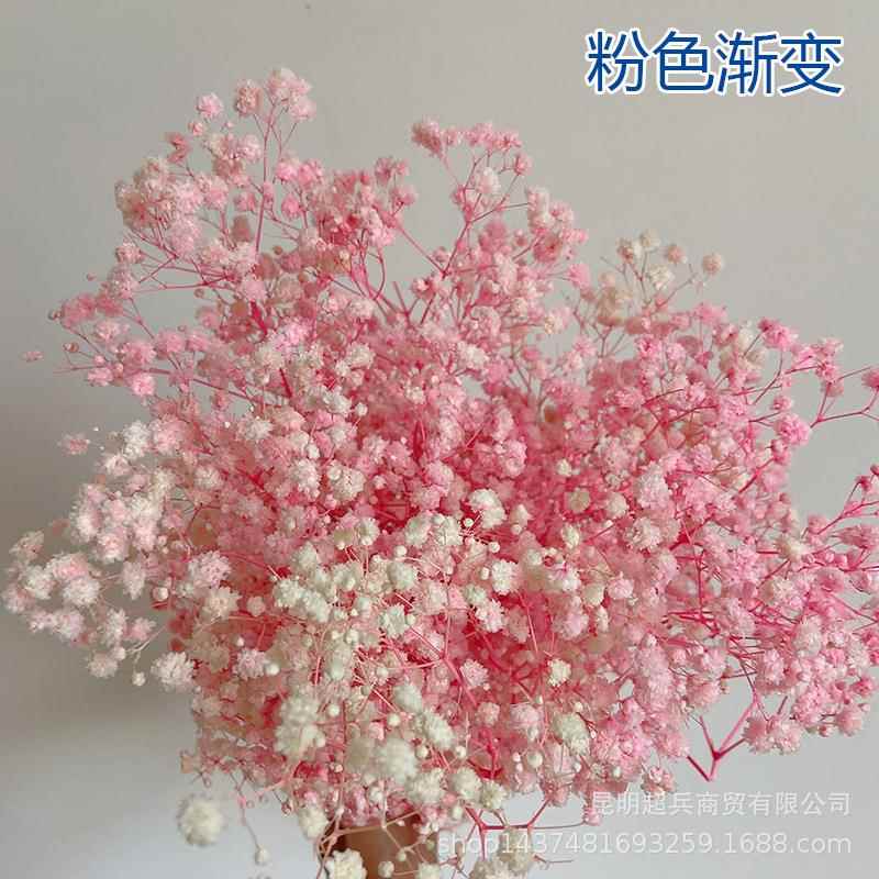 新款直销纯白色永生满天星装饰花束DIY材料花头蓬松