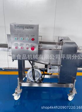 商用核桃仁浸浆机大型不锈钢红薯条上浆流水线肉饼上粉上糠机