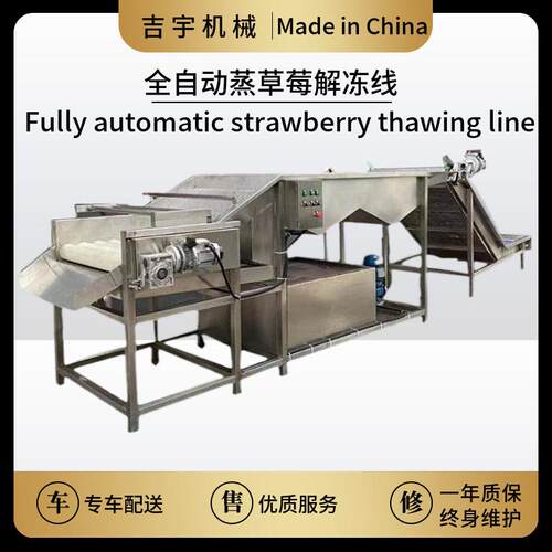 全自动草莓加工成套清洗流水线 全自动草莓加工成套解冻流水线