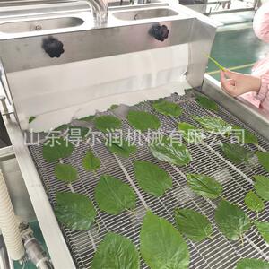 新鲜桑叶上浆机油炸香酥脆叶生产线一站式购齐设备源头工厂