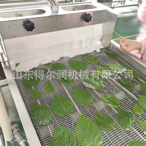 600型香酥脆叶淋浆机 新鲜桑叶上浆机 裹涂均匀 出料带上下风刀