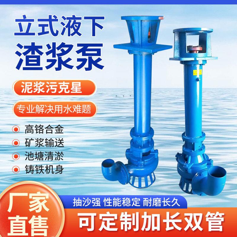 液下渣浆泵YZ立式抽沙泵单双管耐磨泥浆泵池塘河底清淤排污吸沙泵