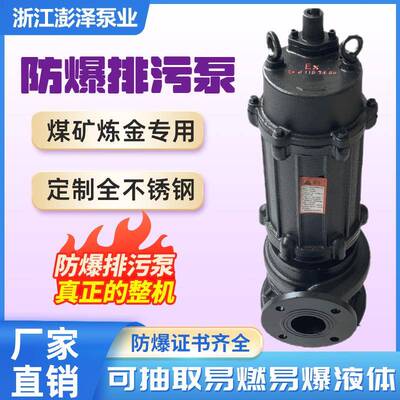 防爆排污泵BT4铸铁HWQ加油站化工煤矿EX矿用CT4防爆国标排污泵