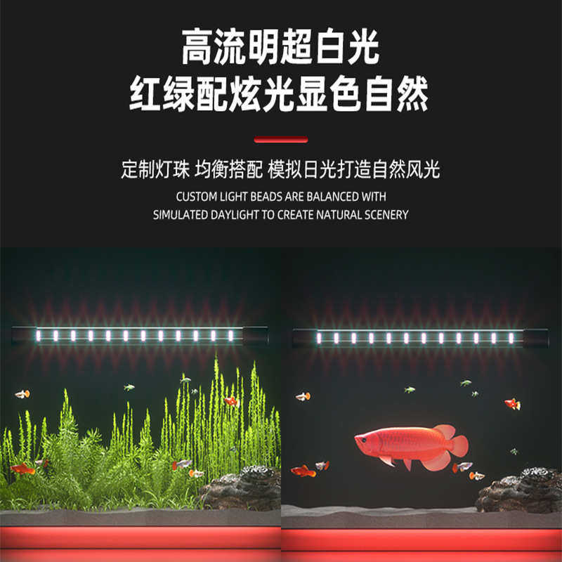 发鱼增灯增色吉罗灯鱼缸专用日光艳金鱼led灯照明雷龙龙灯鱼色灯