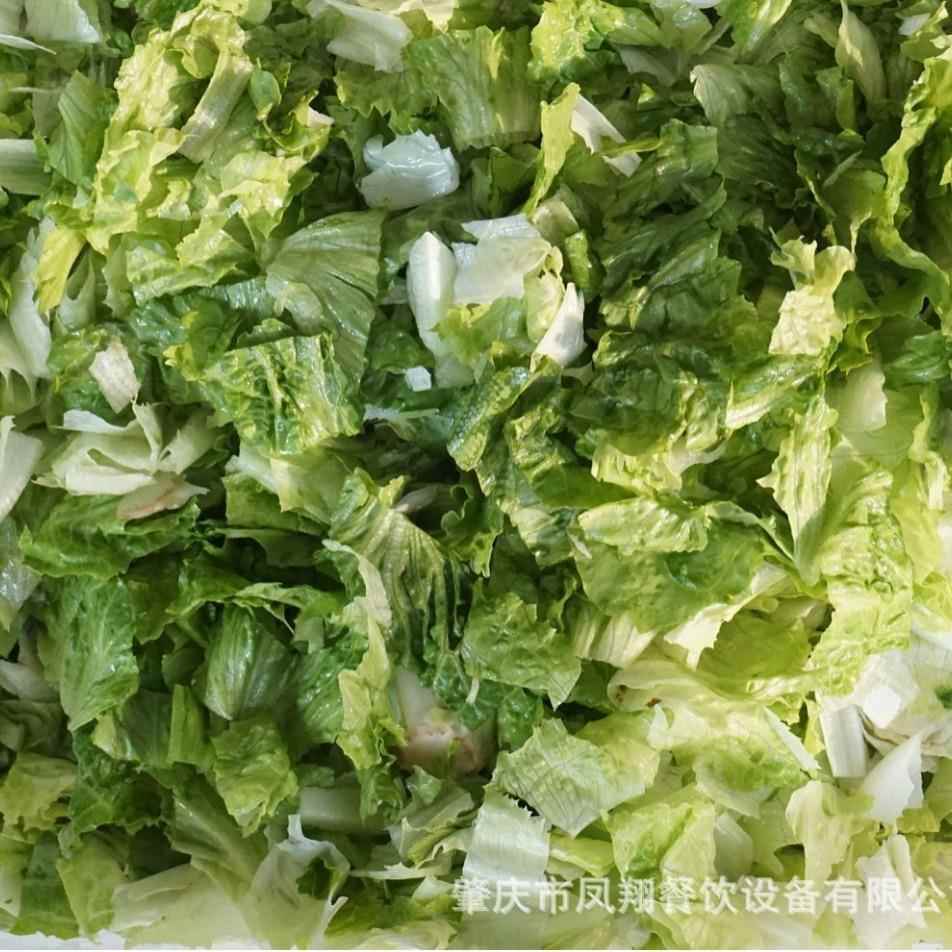 生产果蔬全JYP自动气清洗机蔬菜切类类割泡机全自动上料出料脱水