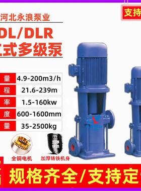直销DL立式多级离心泵高层建筑供水增压泵DLR热水循环锅炉补水泵