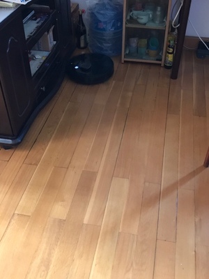 谁用过科沃斯扫地机器人T5 Max，究竟质量怎么样，差吗