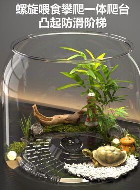乌龟缸圆形塑料家用客厅透明生态造景金鱼绿植观赏鱼缸小型桌面