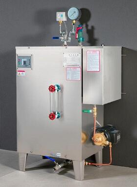 商用电加热蒸气机48KW免报检 工业蒸汽产生器 锅炉高温高压节能型