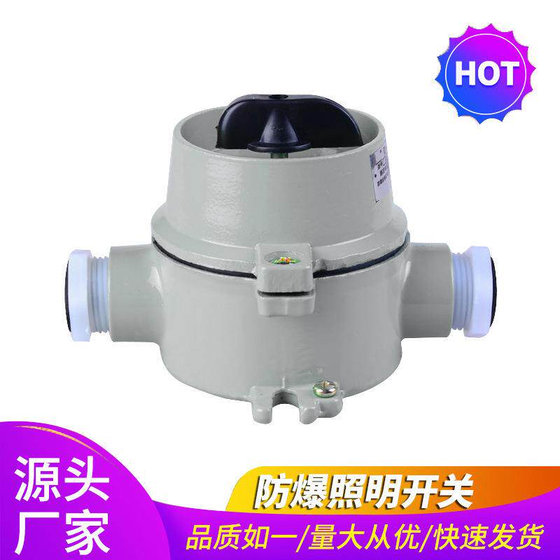 SW10防爆照明开关 单联单控铝合金控制开关 防爆转换开关10A